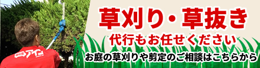 草刈り、剪定代行
